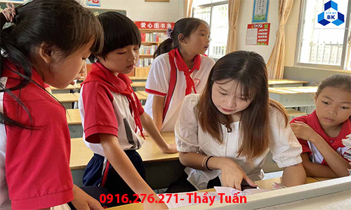 Nhu cầu thuê gia sư